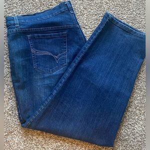 GLORIA VANDERBILT AMANDA BLUE JEANS PLUS SIZE 22W EUC
